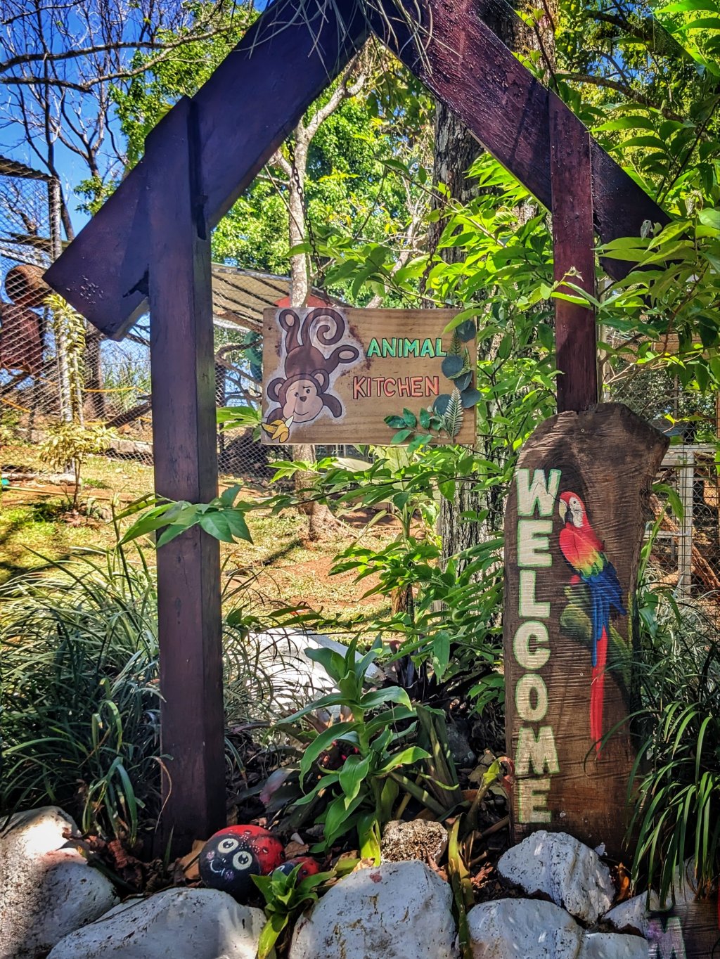 Animal Team – Zones 3 &&nbsp;4