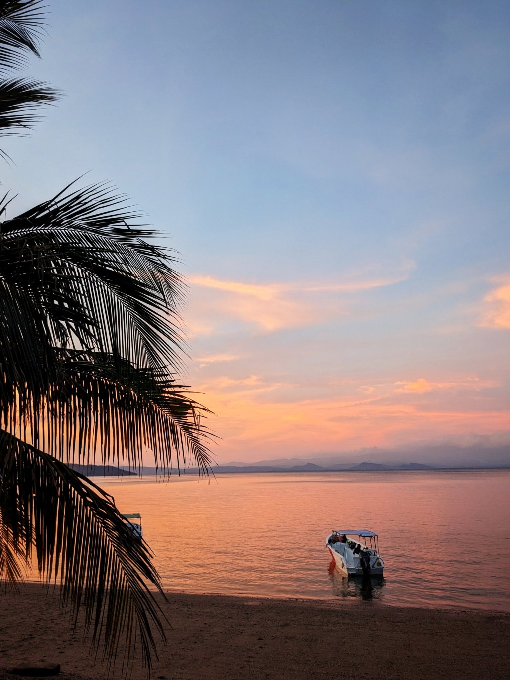 Costa Rica Tourist Days:&nbsp;Bioluminescence